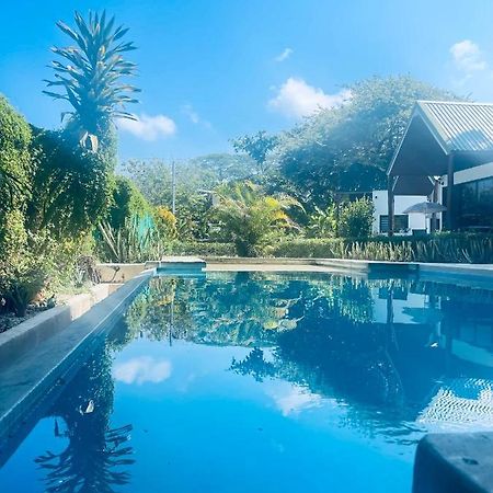 Villas Cabuya Beach & Jungle Eksteriør billede