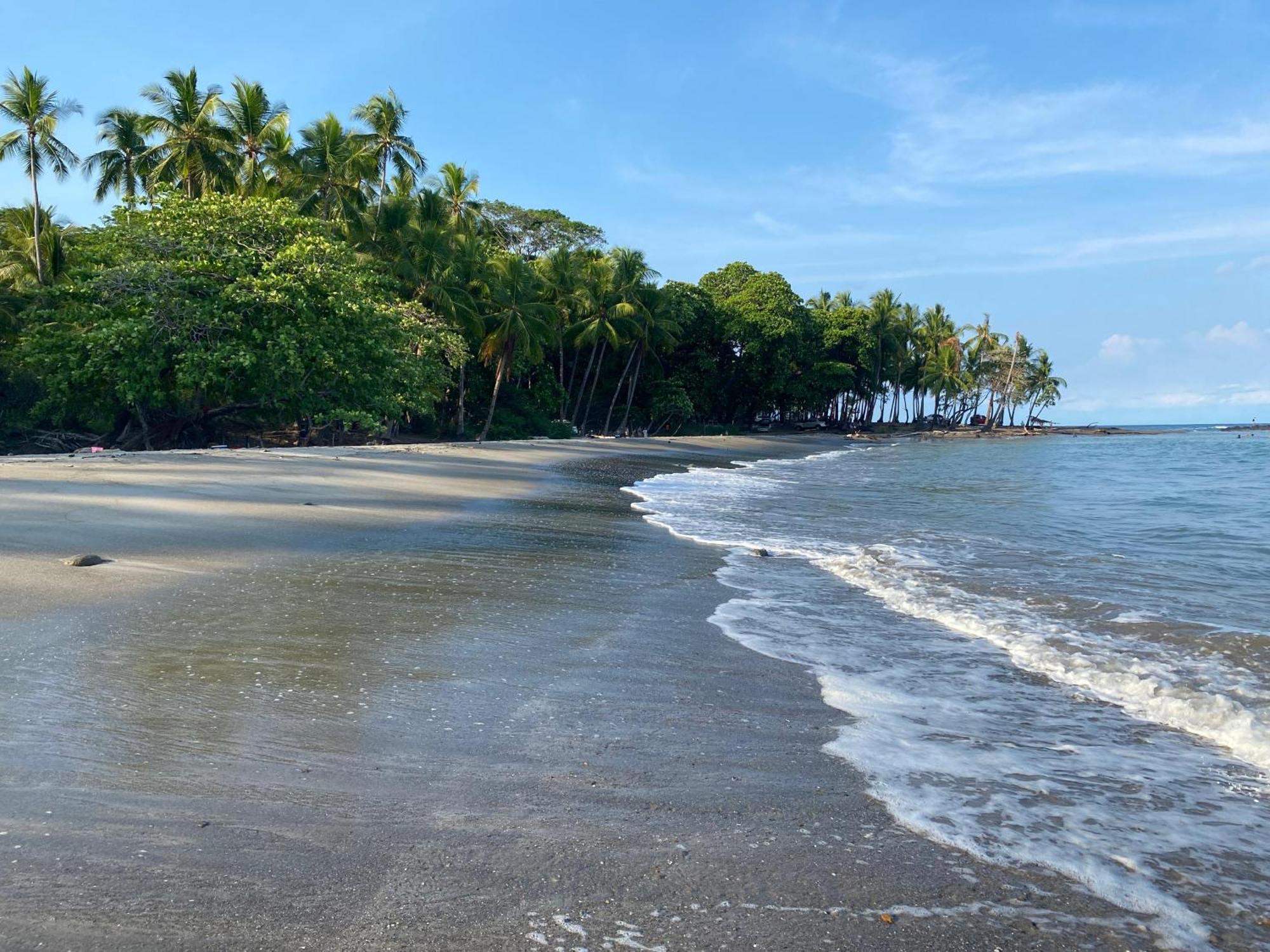 Villas Cabuya Beach & Jungle Eksteriør billede