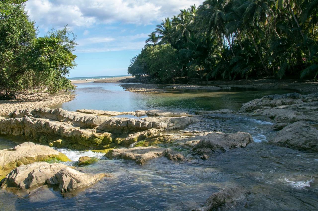 Villas Cabuya Beach & Jungle Eksteriør billede